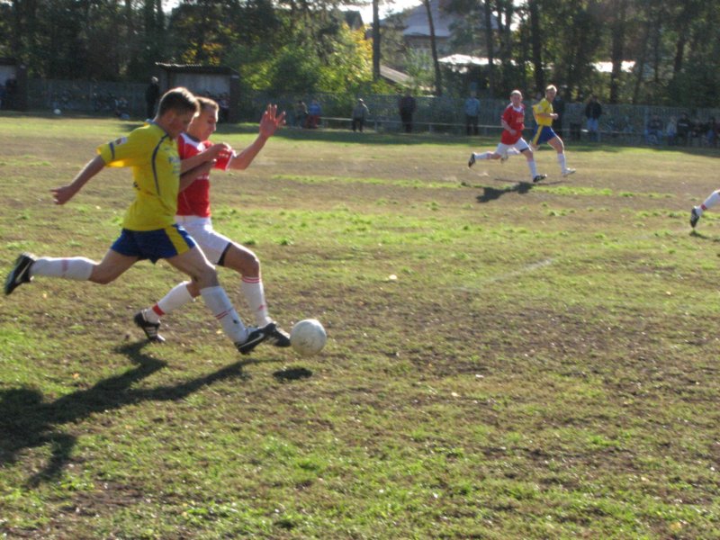 obraz018.jpg
