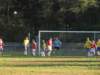 obraz029_small.jpg