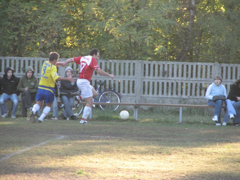 obraz080.jpg