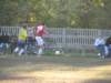 obraz080_small.jpg