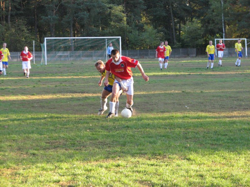 obraz115.jpg