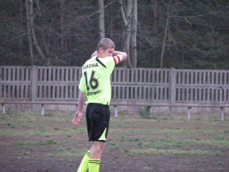 obraz084.jpg