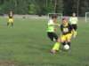 obraz031_small.jpg