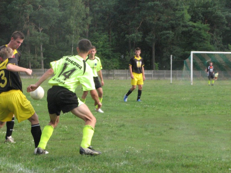obraz049.jpg