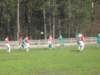 img_1187_small.jpg