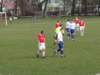 obraz034_small.jpg