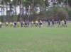 p1010027_small.jpg