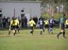 p1010089_small.jpg