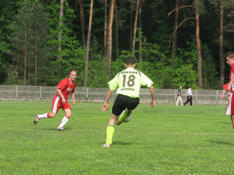 obraz038.jpg