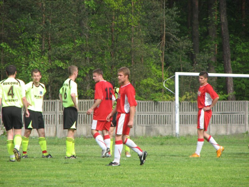 obraz043.jpg