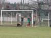 obraz070_small.jpg