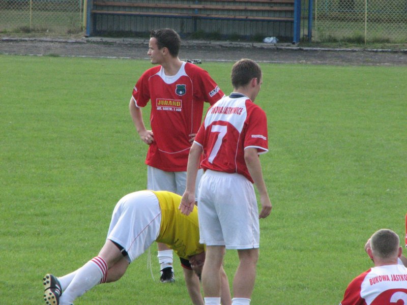 obraz003.jpg