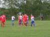 sta60244_small.jpg