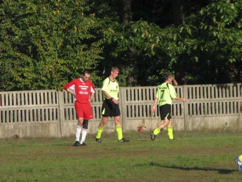 obraz031.jpg