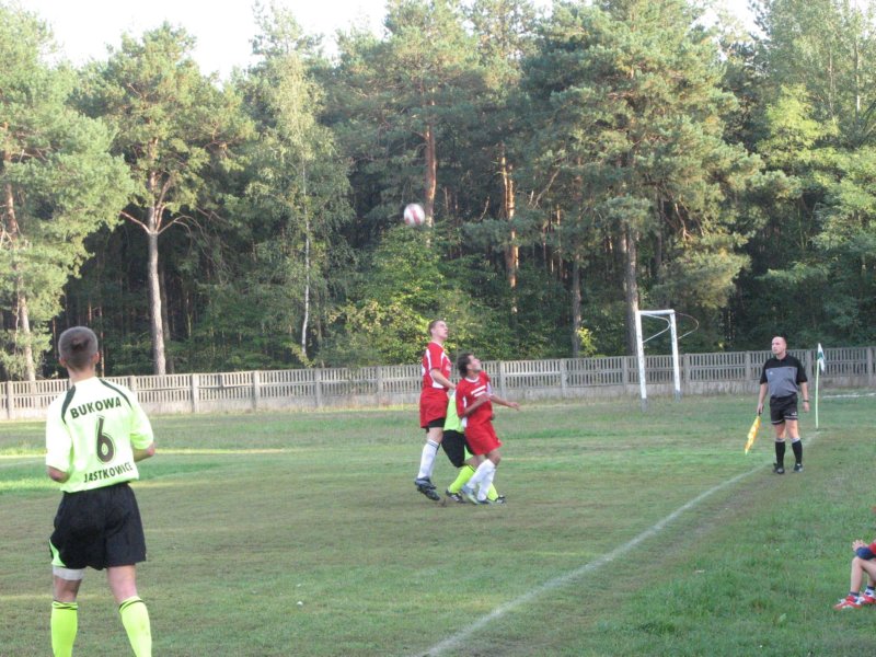 obraz049.jpg