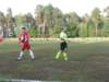 obraz080_small.jpg