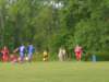 koronawallington018_small.jpg