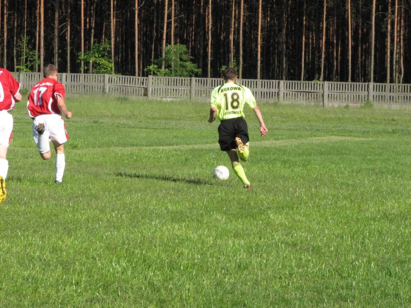 obraz089.jpg